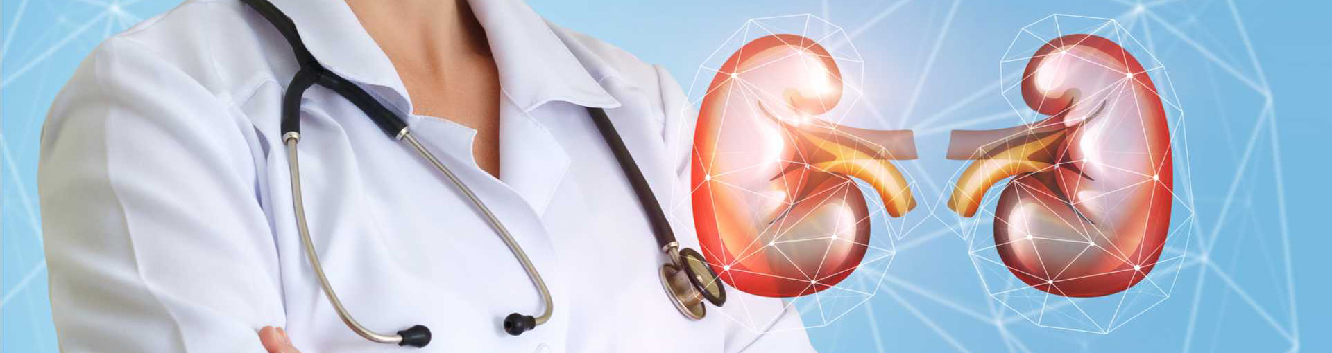 Urology Image